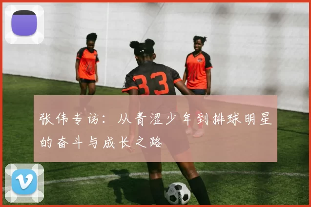 张伟专访：从青涩少年到排球明星的奋斗与成长之路