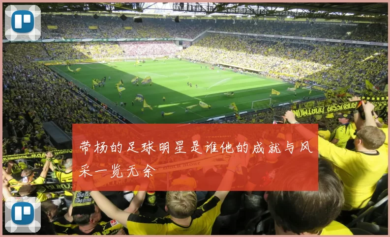 带杨的足球明星是谁他的成就与风采一览无余