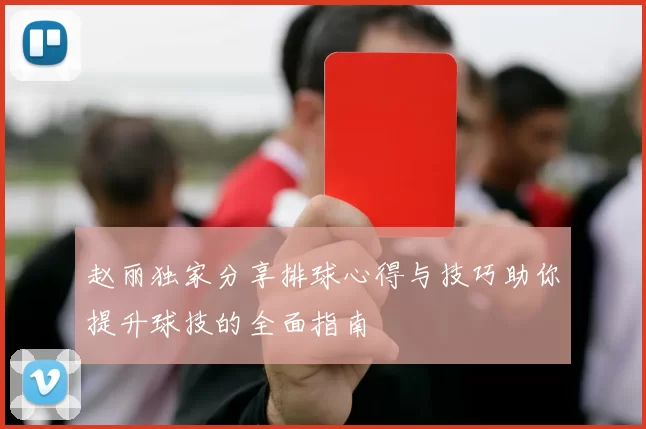 赵丽独家分享排球心得与技巧助你提升球技的全面指南